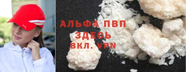PSILOCYBIN Беломорск
