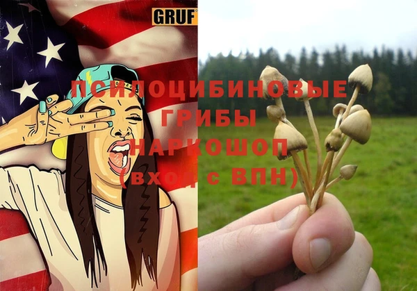 PSILOCYBIN Беломорск